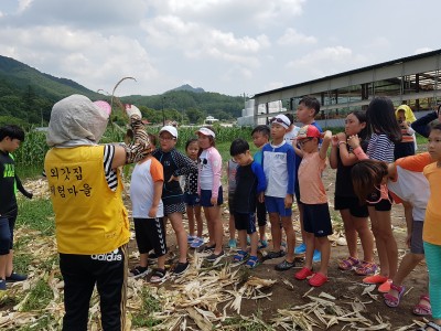 0813 라온제나캠프 이미지
